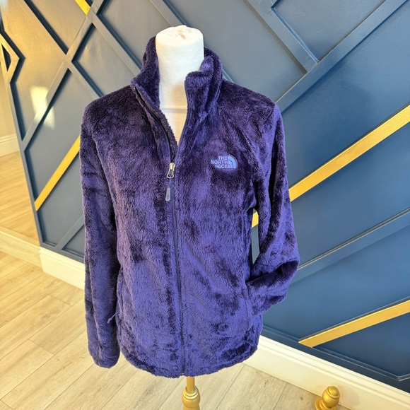 The North Face Sweaters - The North Face Aspen resort full zip osito fleece